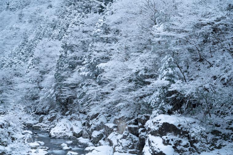 天川村の雪景色