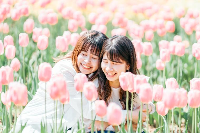 200品種75万本が開花！広島「世羅高原農場」で4月6日より「チューリップ祭」スタート