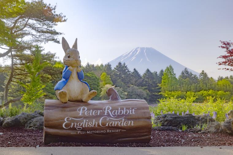 SNSで人気！「富士本栖湖リゾート」で関東最大級50万株の「富士芝桜まつり」が開幕