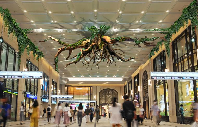「Osaka Art & Design 2024」GREEN SEED　大樹とともに、また踏み出す。