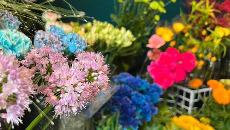 ハイセンスなお花屋さんとジェラートやハーブティに癒されるカフェ【毎日+popo】植物療法士のいる“花屋カフェ”