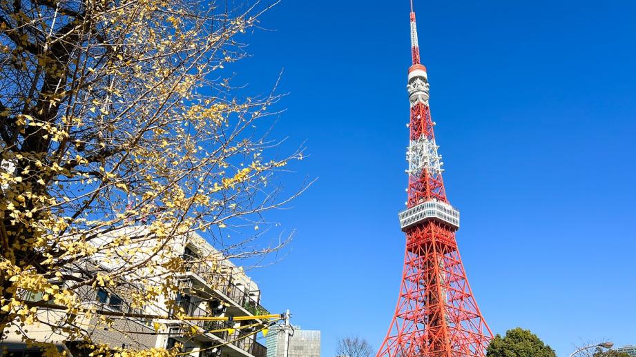 東京タワー楽しみ方ガイド！ 周辺観光スポットやグルメも紹介 【楽天トラベル】
