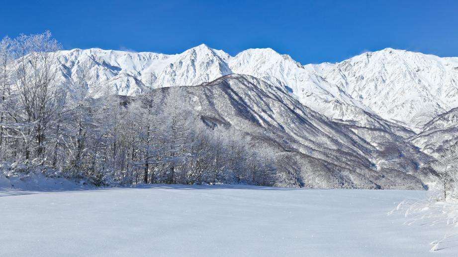 白馬のマウンテンリゾート「白馬岩岳スノーフィールド」がお得な冬の