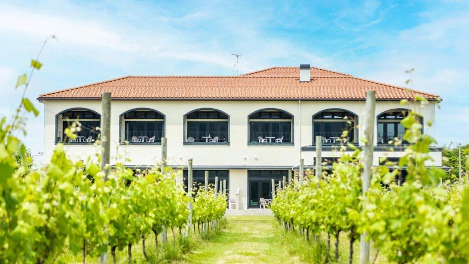 ぶどう畑に佇む「Winerystay TRAVIGNE」でワインと自然を満喫する旅