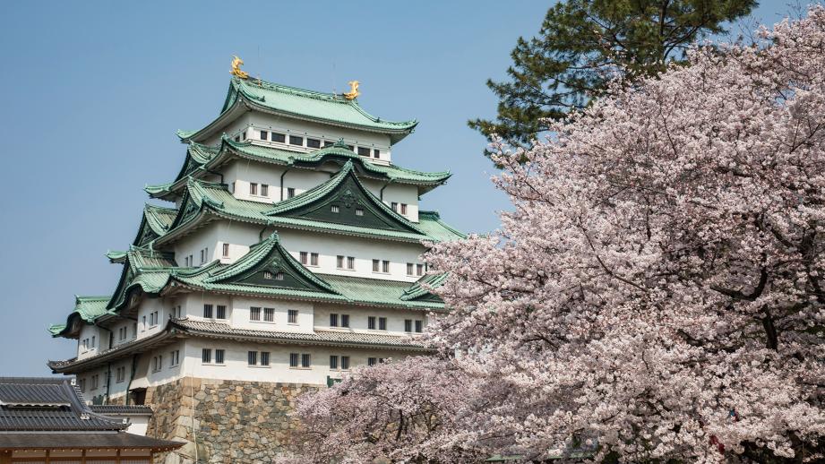 幻想的な夜桜ライトアップに楽しいイベント満載！「名古屋城 春まつり」開催中