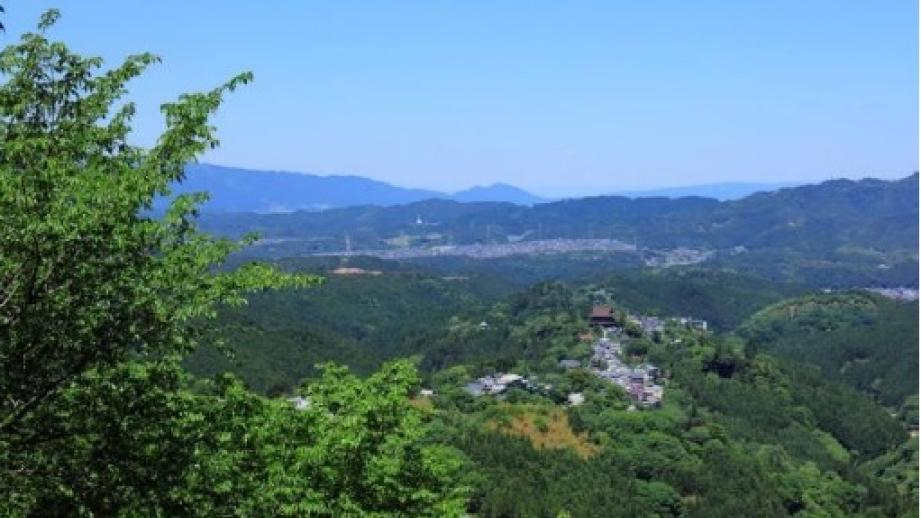 世界遺産「紀伊山地の霊場と参詣道」高野山と吉野をお得に巡るデジタルきっぷ