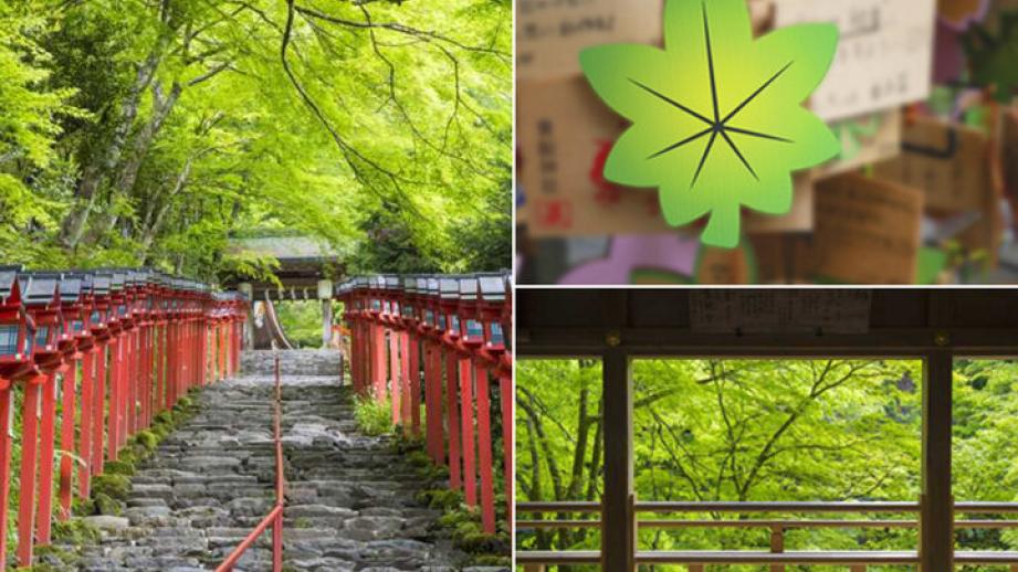 京都の奥座敷にたたずむ貴船神社で、目にも涼やかな青もみじを満喫♪