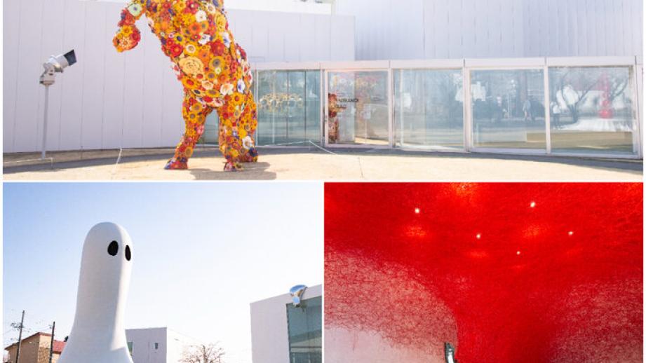 現代アート×建築を楽しむ、十和田市現代美術館