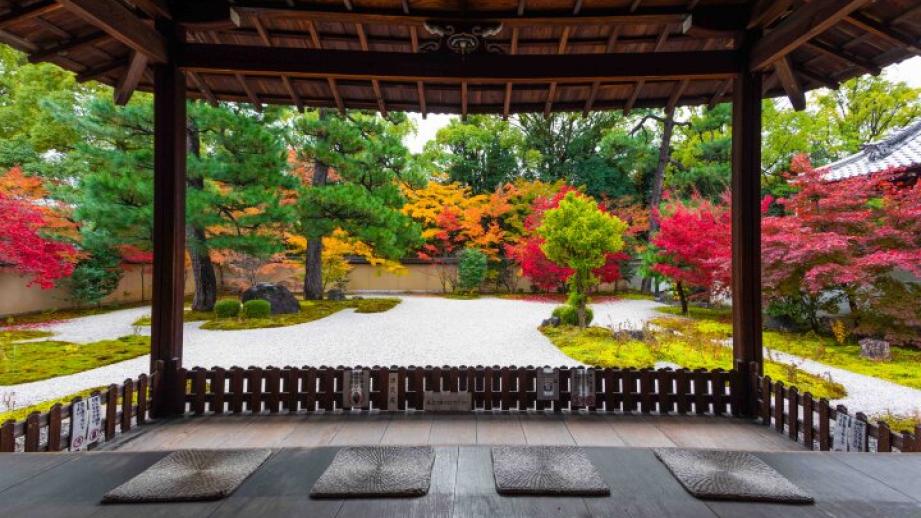 京都・紫式部ゆかりの地にたたずむ「廬山寺」で、優美な源氏物語の世界と紅葉を満喫♪