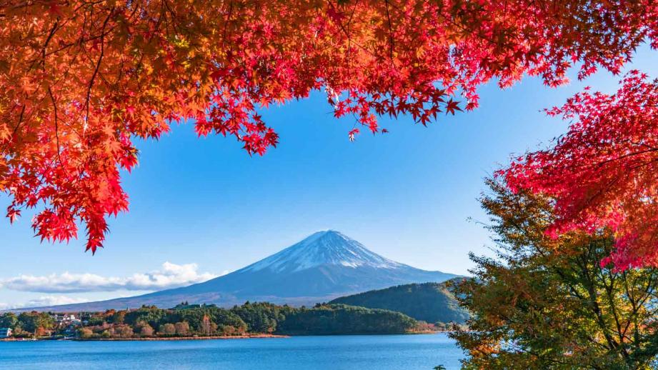 富士山といえば あの写真はココで撮れる 実際に行ってみよう 楽天トラベル