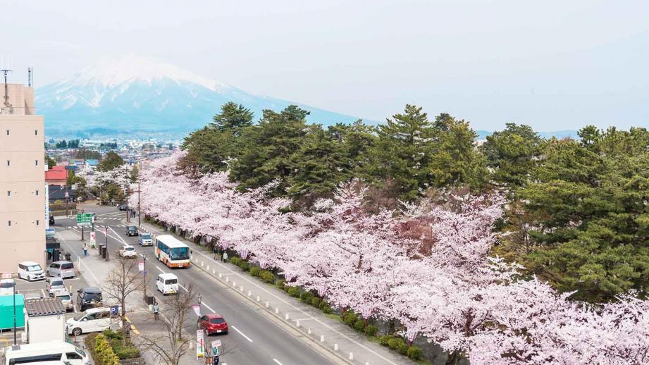 弘前観光おすすめ女子旅 モデルコースに桜や名物グルメも 楽天トラベル