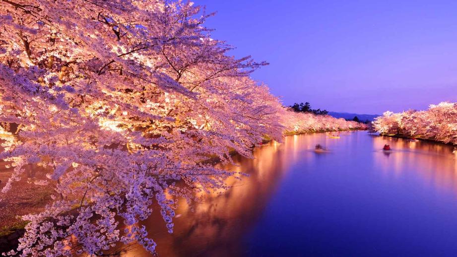 2023年】全国の桜の名所・お花見スポット | 楽天トラベル