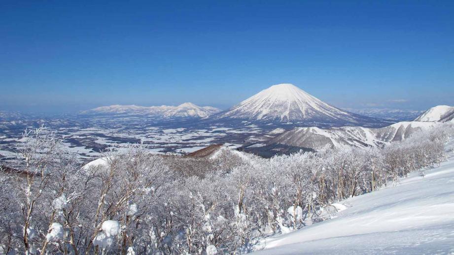 北海道のスキー スノーボード旅行 人気宿ランキング 楽天トラベル