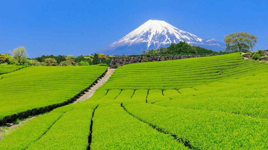 観光 静岡 静岡県の人気観光スポットTOP45！旅行好きが行っている観光地ランキング