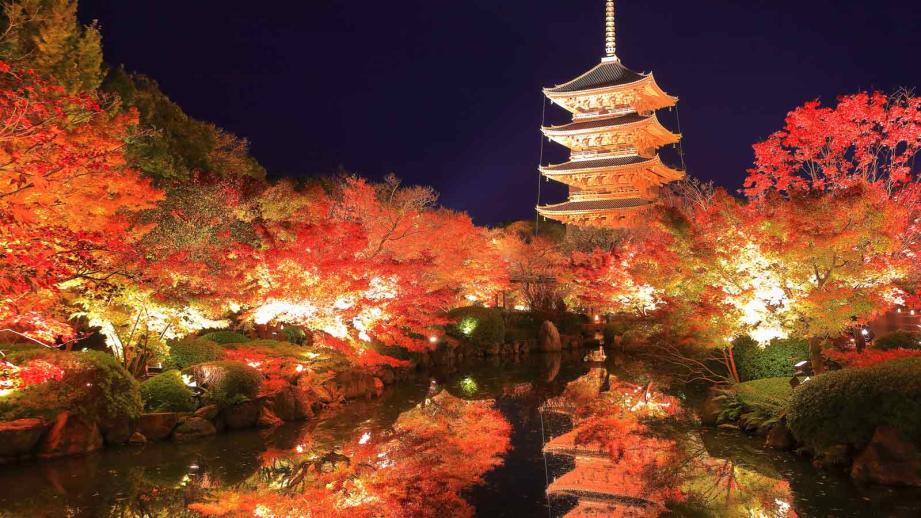 京都】紅葉ライトアップの名所と穴場スポット、見頃情報 2023年版