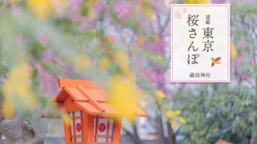 早咲き桜とミモザが咲き誇る「蔵前神社」と、ものづくりのまち・蔵前めぐり ～東京 桜さんぽ～