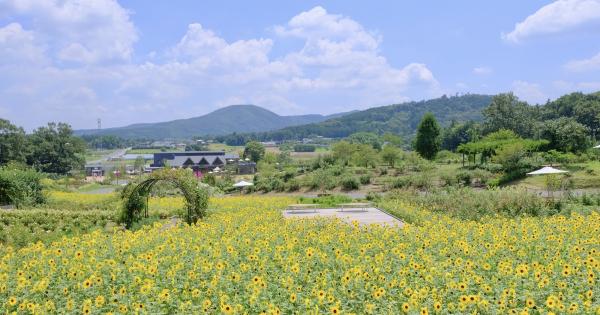 茨城県石岡市・八郷の里山に広がる「いばらきフラワーパーク」