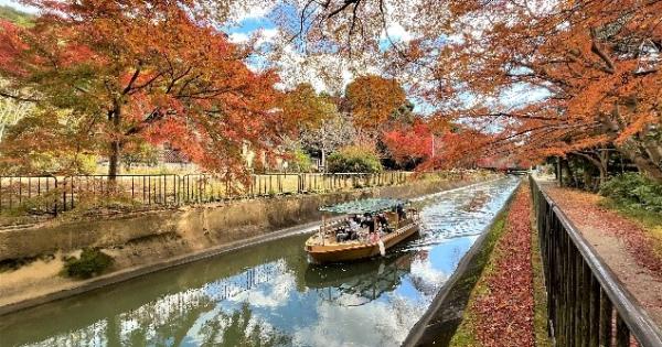 京都・滋賀の美しい紅葉が楽しめるびわ湖疏水船