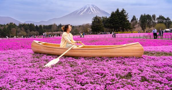 GWに行きたい！「富士芝桜まつり」は笑顔になれる仕掛けがいっぱい