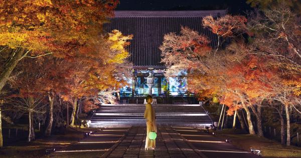 アートな街イベント「NAKED GARDEN ONE KYOTO 2023」で秋の京都を体感！