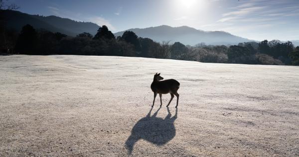 カメラマンが教える絶景＆撮影テクニック～京都、大阪、奈良…近畿エリアの冬の絶景スポット～