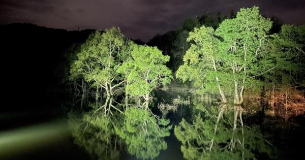 国内外でSNSを席巻！2カ月だけ現れる映え絶景の山形・白川湖水没林でライトアップ開催