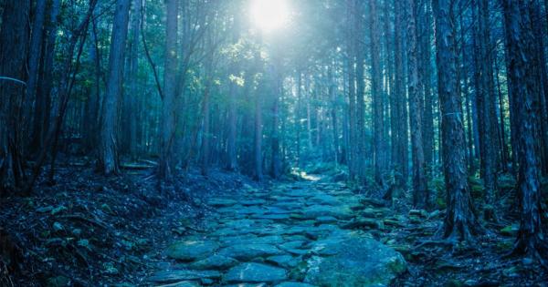歩きながらより深く歴史を知る旅へ！世界遺産「熊野古道」伊勢路の公式音声ガイドが誕生