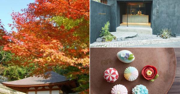 鎌倉・長谷寺のライトアップ紅葉とともに楽しむおさんぽ＆グルメ6選