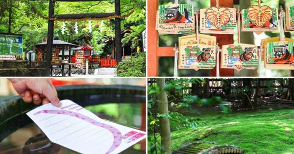 京都嵐山・青もみじと苔庭が美しい「野宮神社」で、源氏物語の世界に思いを馳せて♪