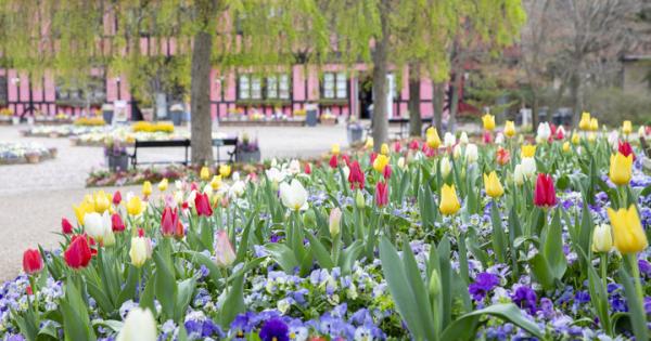 アンデルセン童話の世界感や季節の花が迎えてくれる♪ 千葉「ふなばしアンデルセン公園」へ