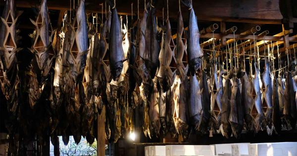 天井から吊り下がる鮭！新潟県・村上市で食と歴史をめぐる街歩き