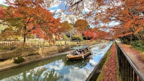 京都・滋賀の美しい紅葉が楽しめるびわ湖疏水船