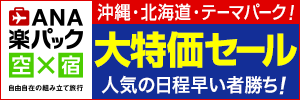 【ANA】沖縄・テーマパーク大特価セール