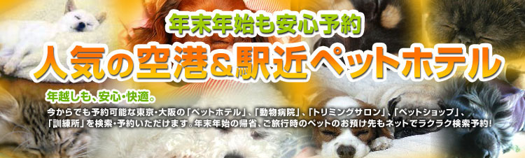 楽天トラベル ペット専用ホテル予約 年末年始も安心快適 空港 駅近ペットホテル