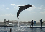 京都市水族館（京都市内）