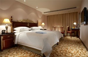CV[YYzekicƋGߎXkفj(Royal Seasons Hotel Beitou) 