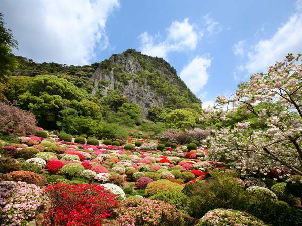 敷地内にある庭園『御船山楽園：国指定』では４月中旬〜５月初旬に２０万本のツツジが咲き乱れます。