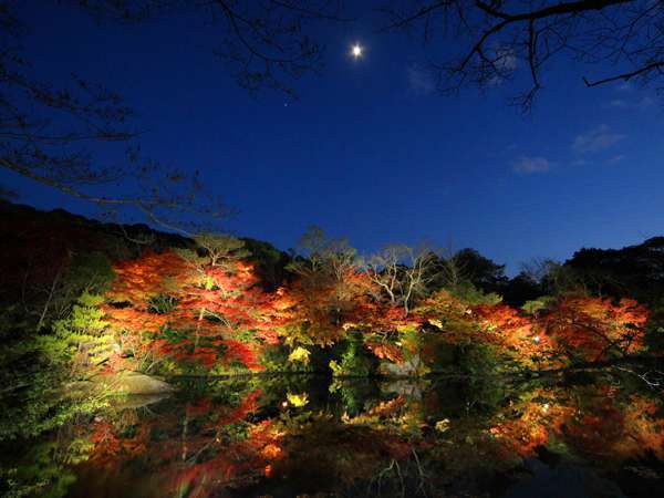 １１月１０日〜１１月２５日限定で九州最大の紅葉ライトアップ『たまゆらの夕べ』を開催。