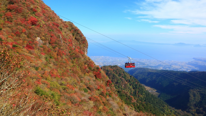 *【周辺観光】仁田峠のミヤマキリシマと雲仙ロープウェイ／海抜1300mの上空からの四季折々の絶景！