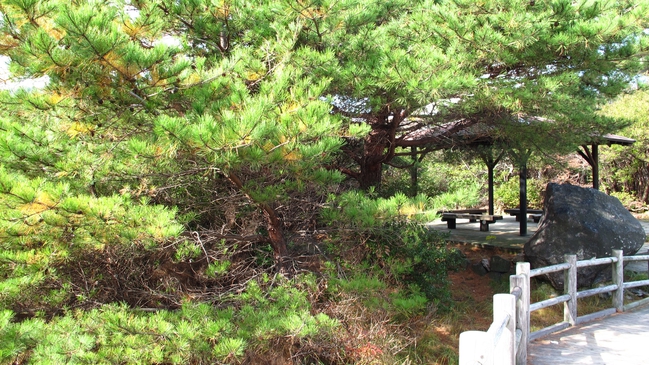 *【周辺観光】花園山（雲仙地獄）／温泉神社側の入口からスタートし、ゆっくり歩いて花園山まで約30分。