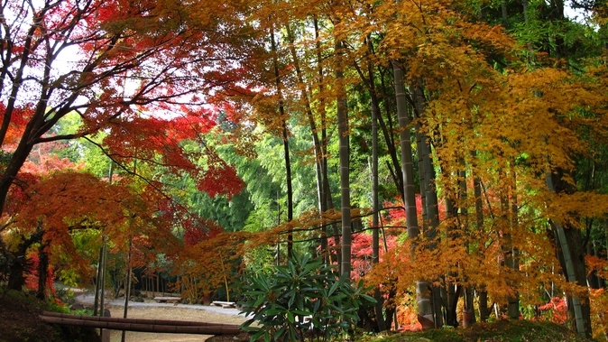 *【周辺観光】三十路苑／10月下旬頃から色づき始め、自然が織り成す圧巻の色彩が雲仙を彩ります。