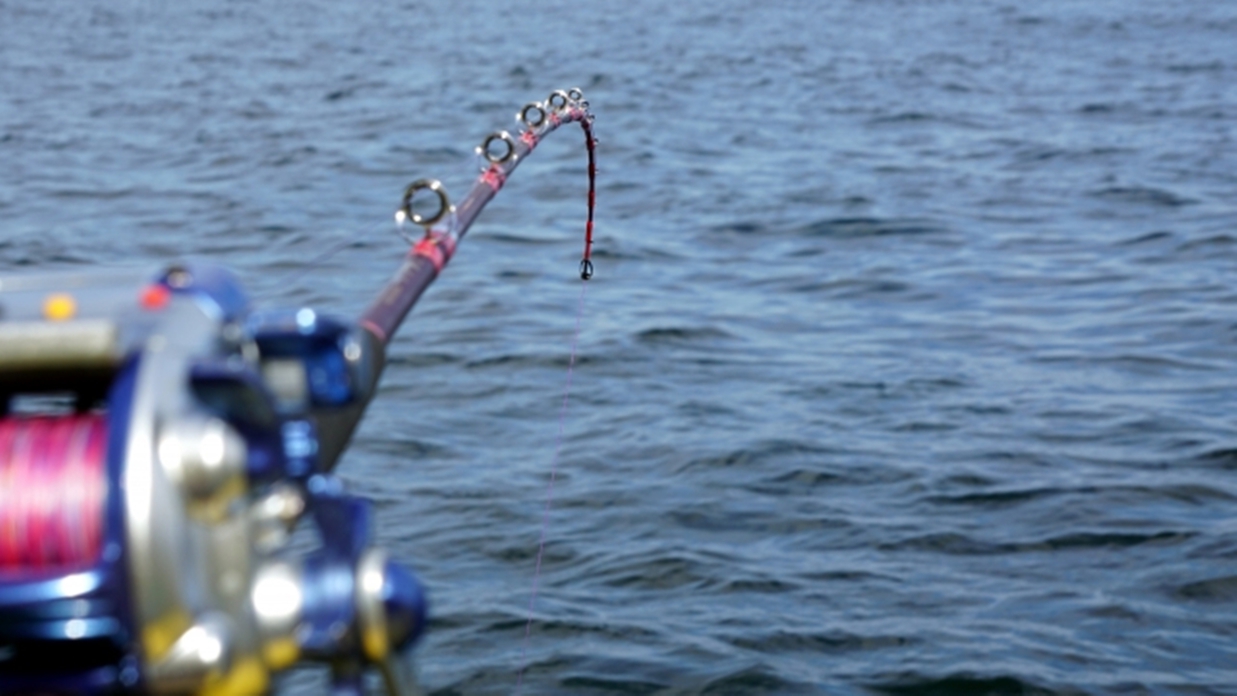 *【周辺体験：海釣り体験】観光船で有明海クルージングで海釣り＜韋駄天観光：車35分＞※イメージ写真