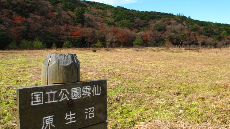 *【周辺観光】原生沼／絹笠山の東麓にある湿原で、九州でも稀なミズゴケ湿原として国の天然記念物に指定。