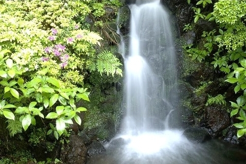お庭の滝