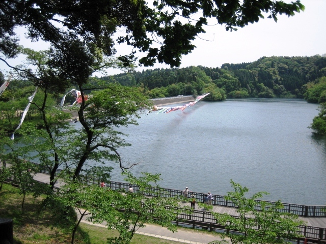 昭和の森自然公園2