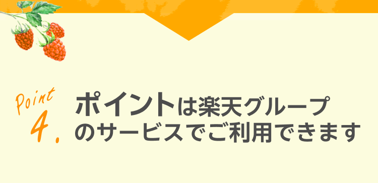 ポイントは楽天グループのサービスでご利用できます