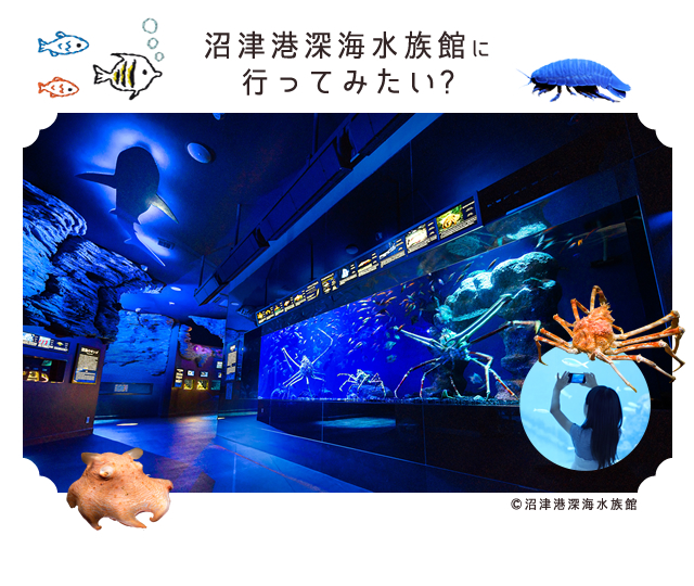 沼津港深海水族館に行ってみたい？