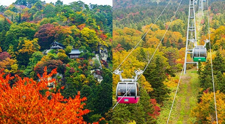 村山エリア